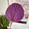 Feuille de palmier mauve arrondie