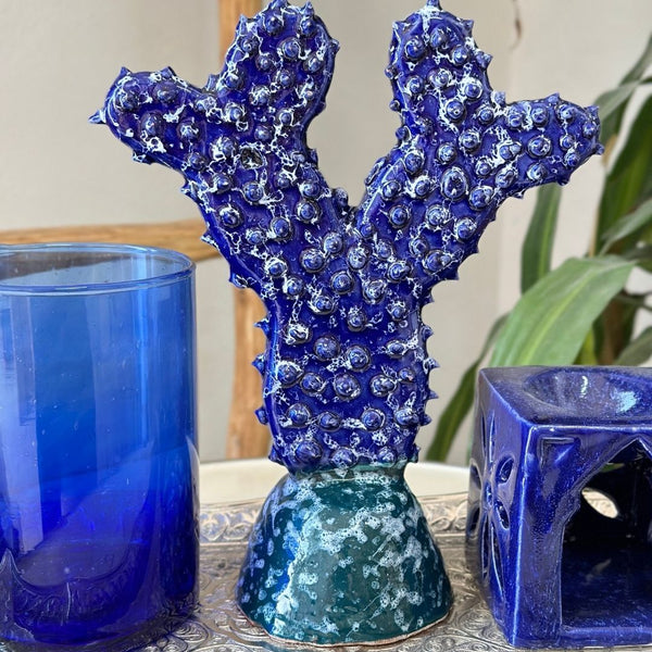 Grand cactus - Ajbir