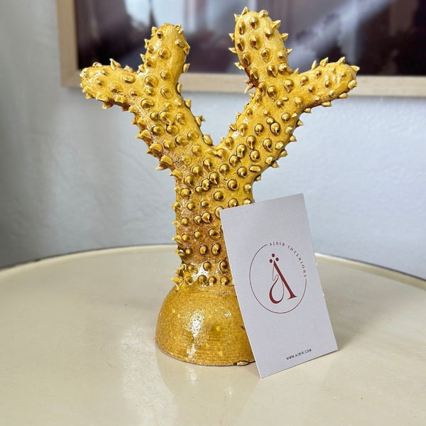 Grand cactus - Ajbir