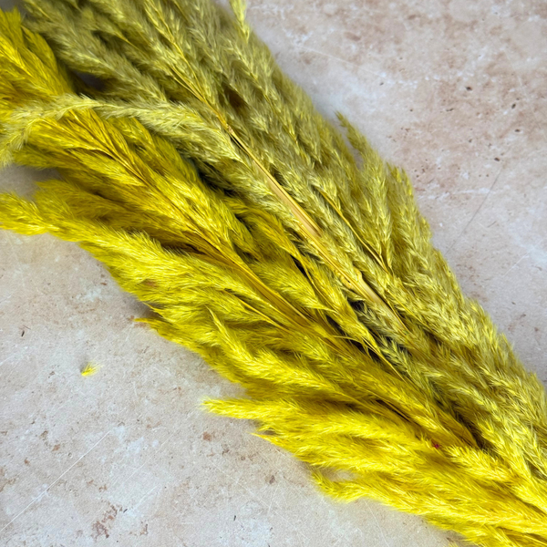 Bouquet de 3 pampas jaunes