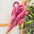 Bouquet de petites plantes séchées rose