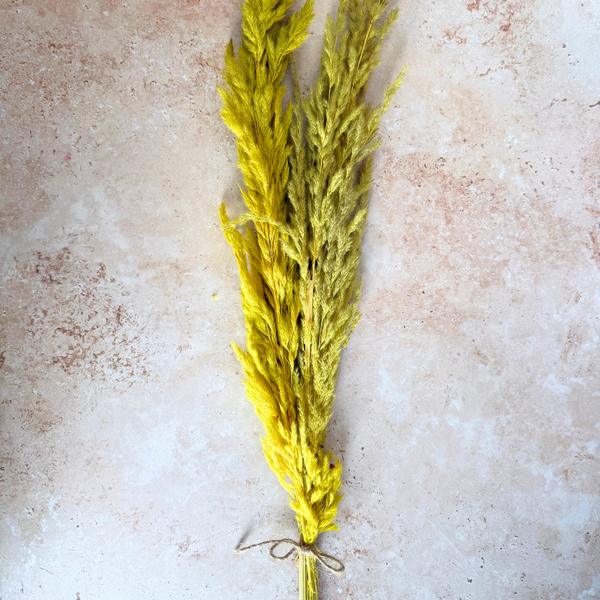 Bouquet de 3 pampas jaunes