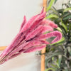 Bouquet de petites plantes séchées rose