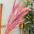 Bouquet de petites plantes séchées rose clair