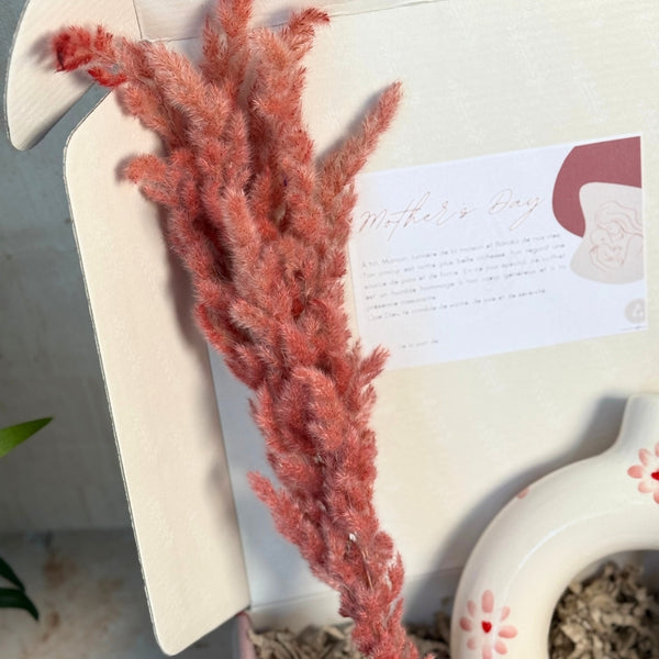 Coffret Cadeau “Douceur florale”