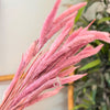 Bouquet de petites plantes séchées rose clair