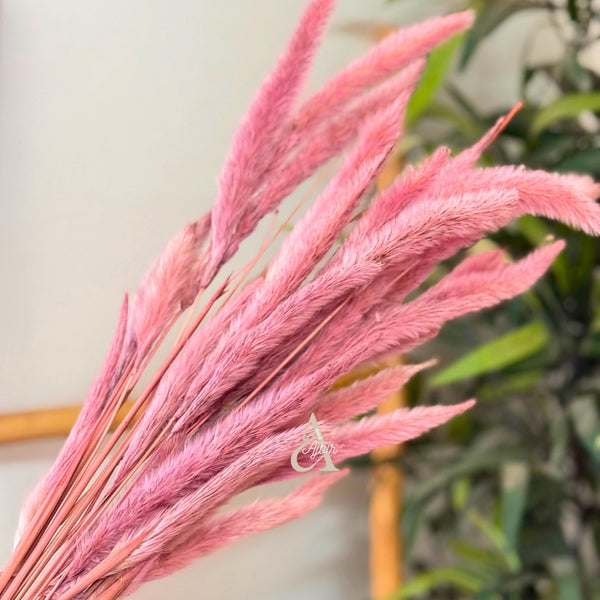 Bouquet de petites plantes séchées rose clair