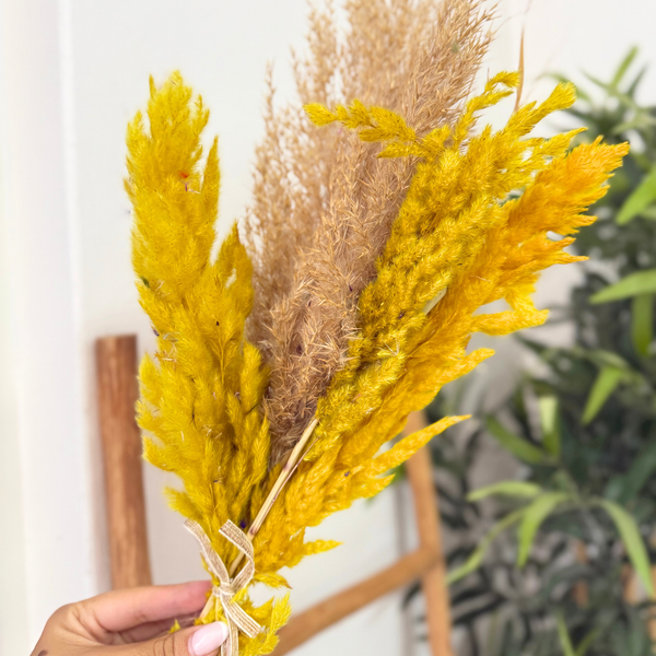 Bouquet plantes séchées beige et jaune
