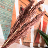 Bouquet de 3 pampas marron