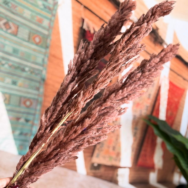 Bouquet de 3 pampas marron