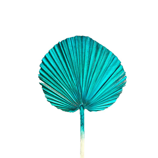 Feuille de palmier bleu - Ajbir