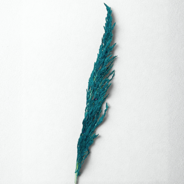 Pampas vert émeraude