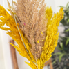 Bouquet plantes séchées beige et jaune