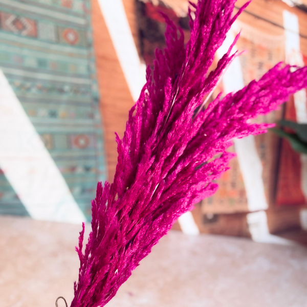 Bouquet de 3 pampas rose magenta