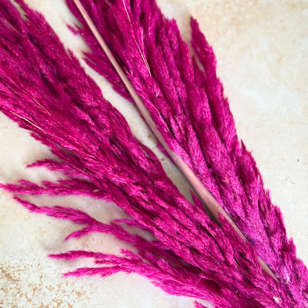 Bouquet de 3 pampas rose magenta