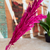 Bouquet de 3 pampas rose magenta