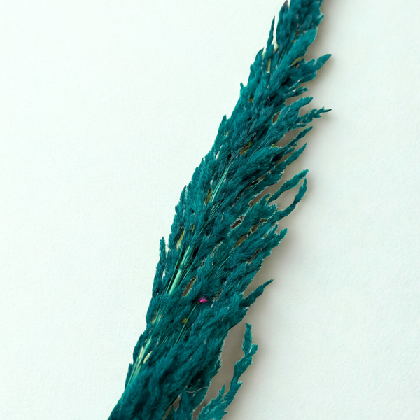 Pampas vert émeraude