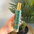 Spray d'ambiance Sekkaya - Jasmin
