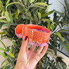 Mug artisanal à anse plate bicolore Tiwizi