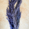 Bouquet de 3 pampas mauve myrtille