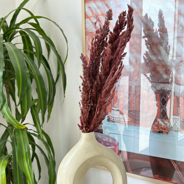 Pampas marron - Ajbir