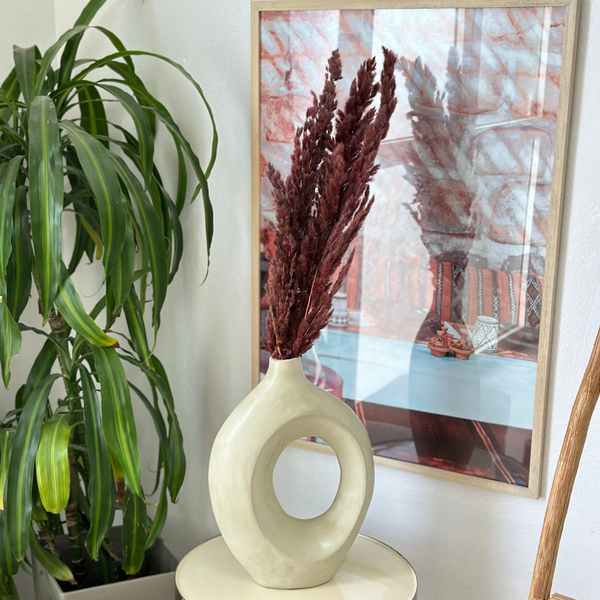 Pampas marron - Ajbir