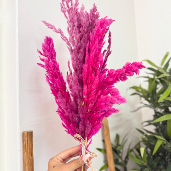 Bouquet plantes séchées rose fuschia