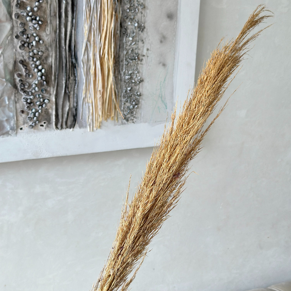 Plante séchée naturelle