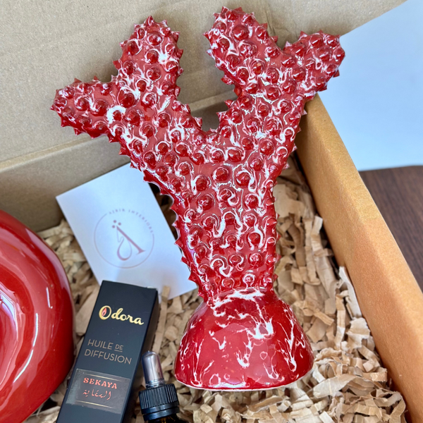 Coffret cadeau artisanal Cactus rouge