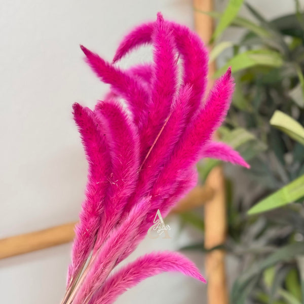 Bouquet de petites plantes séchées rose fuschia