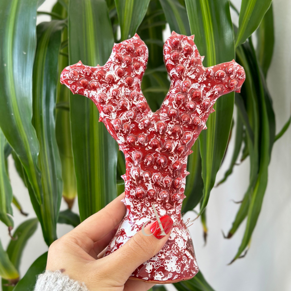 Grand cactus - Ajbir