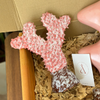 Coffret cadeau artisanal Tayyugt nude
