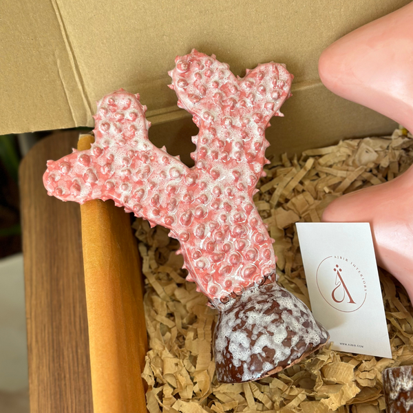 Coffret cadeau artisanal Tayyugt nude