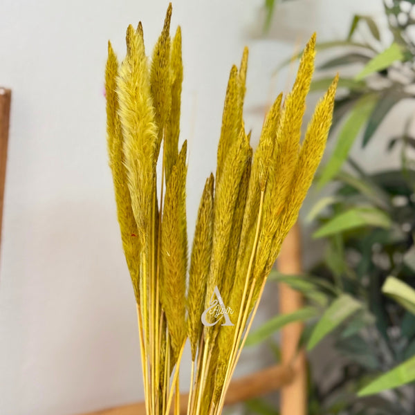 Bouquet de petites plantes séchées vert jaune
