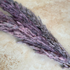 Bouquet de 3 pampas mauve parme