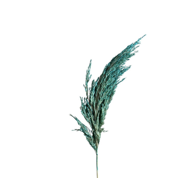 Plumeau turquoise - Ajbir