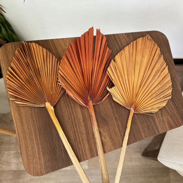 Feuille de palmier orange clair