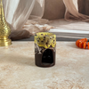Brûle-Parfum et Diffuseur d'Huiles Essentielles Afrasi