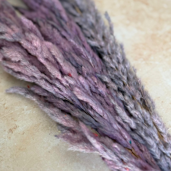 Bouquet de 3 pampas mauve parme