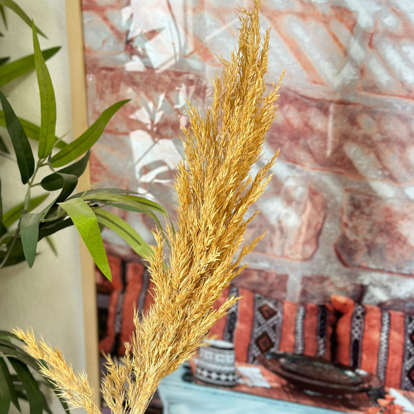 Plante séchée naturelle