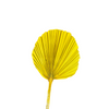 Feuille de palmier jaune - Ajbir