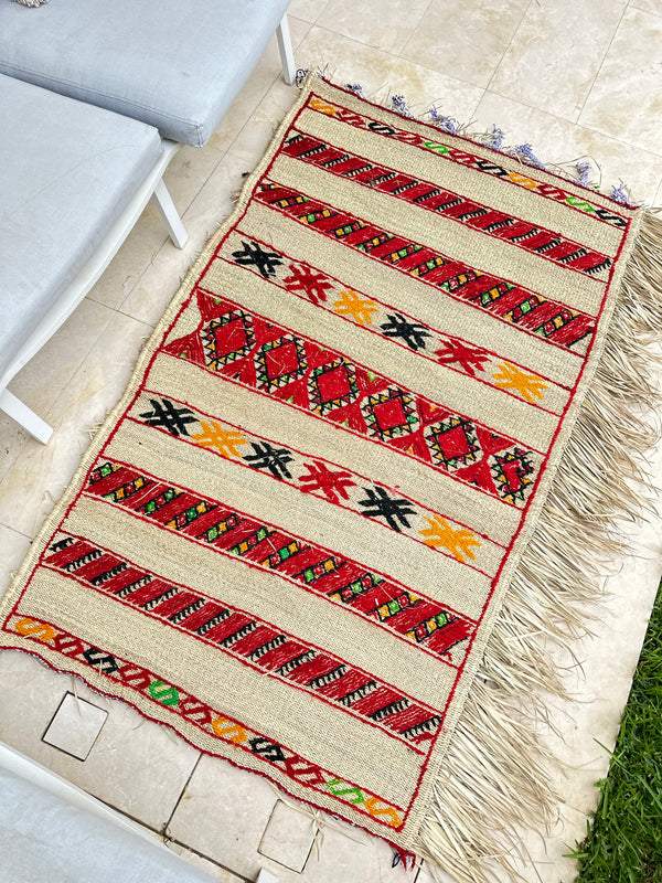 Tapis Extérieur en osier et laine 1m80/1m30 - Ajbir