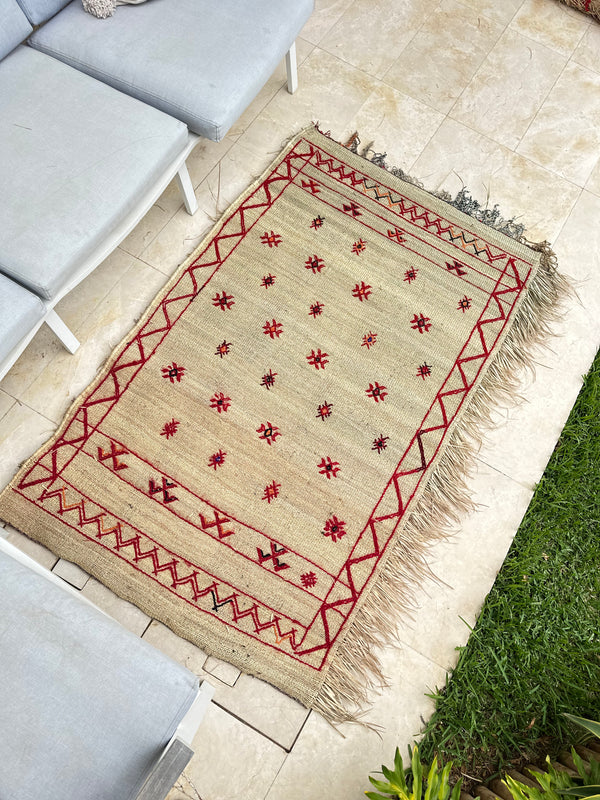 Tapis Extérieur en osier et laine 1m70/1m20 - Ajbir