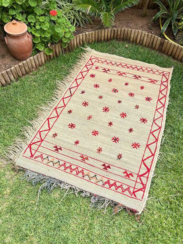 Tapis Extérieur en osier et laine 1m70/1m20 - Ajbir