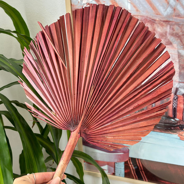 Feuille de palmier marron - Ajbir