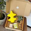 Box cadeau Tayyugt jaune poussin - Ajbir
