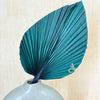 Feuille de palmier Bleu paon