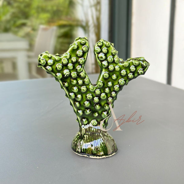 Petit cactus - Ajbir