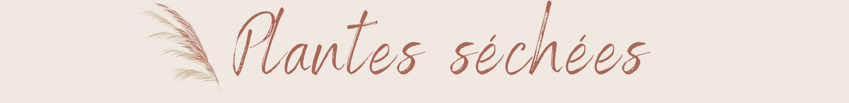 Plantes séchées