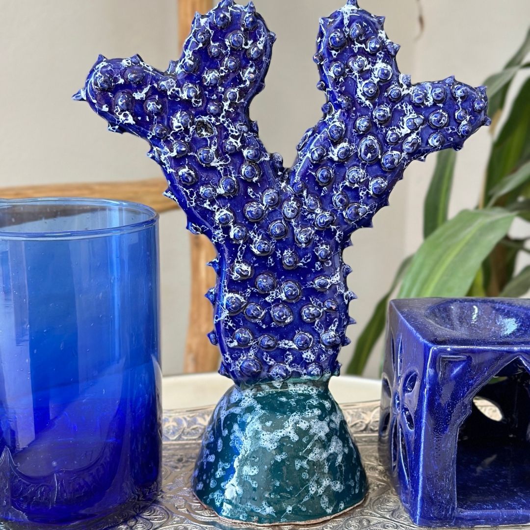 Grand cactus - Ajbir